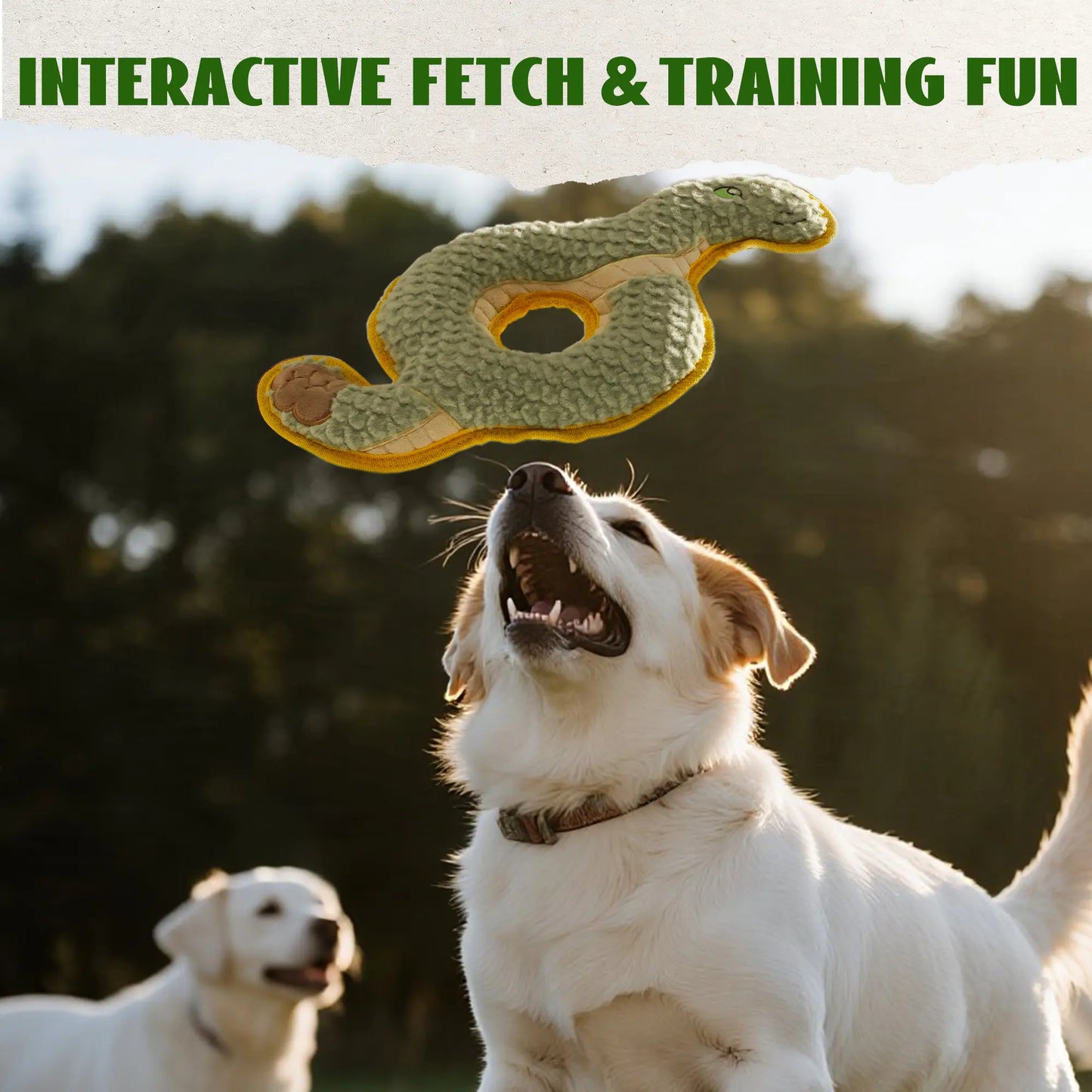 Durabite Coil Snake Squeaky Dog Toy - Reinforced Chew Toy Ideal for Tug of War and Designed for Aggressive Chewers