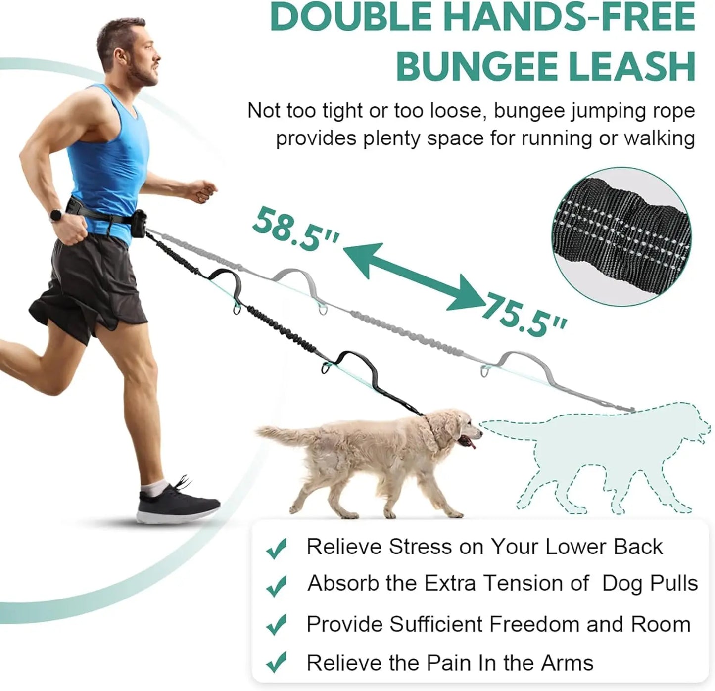 Pipidodo Hands-Free Dog Leash with Waist Bag and Cushioned Pad – Ideal for Running, Walking, and Active Lifestyles, Shock-Absorbing Design for Single and Dual Dogs