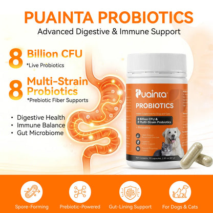 Puainta Probiotics for Dogs and Cats: 8 Billion CFU Digestive and Immune Support - Multi-Strain Spore-Forming Formula with Prebiotics for Gut Health, Sensitive Stomachs, and Skin Wellness