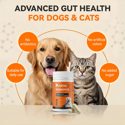 Puainta Probiotics for Dogs and Cats: 8 Billion CFU Digestive and Immune Support - Multi-Strain Spore-Forming Formula with Prebiotics for Gut Health, Sensitive Stomachs, and Skin Wellness