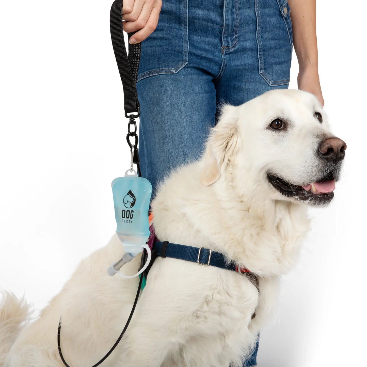 Portable Dog Water Pouch with Stainless Steel Sipper – Lightweight Lick-To-Sip Design for Walks, Hikes, and Travel – Ideal Hydration Solution for Active Dogs.