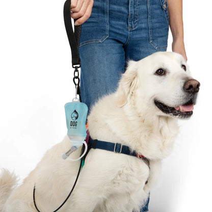 Portable Dog Water Pouch with Stainless Steel Sipper – Lightweight Lick-To-Sip Design for Walks, Hikes, and Travel – Ideal Hydration Solution for Active Dogs.