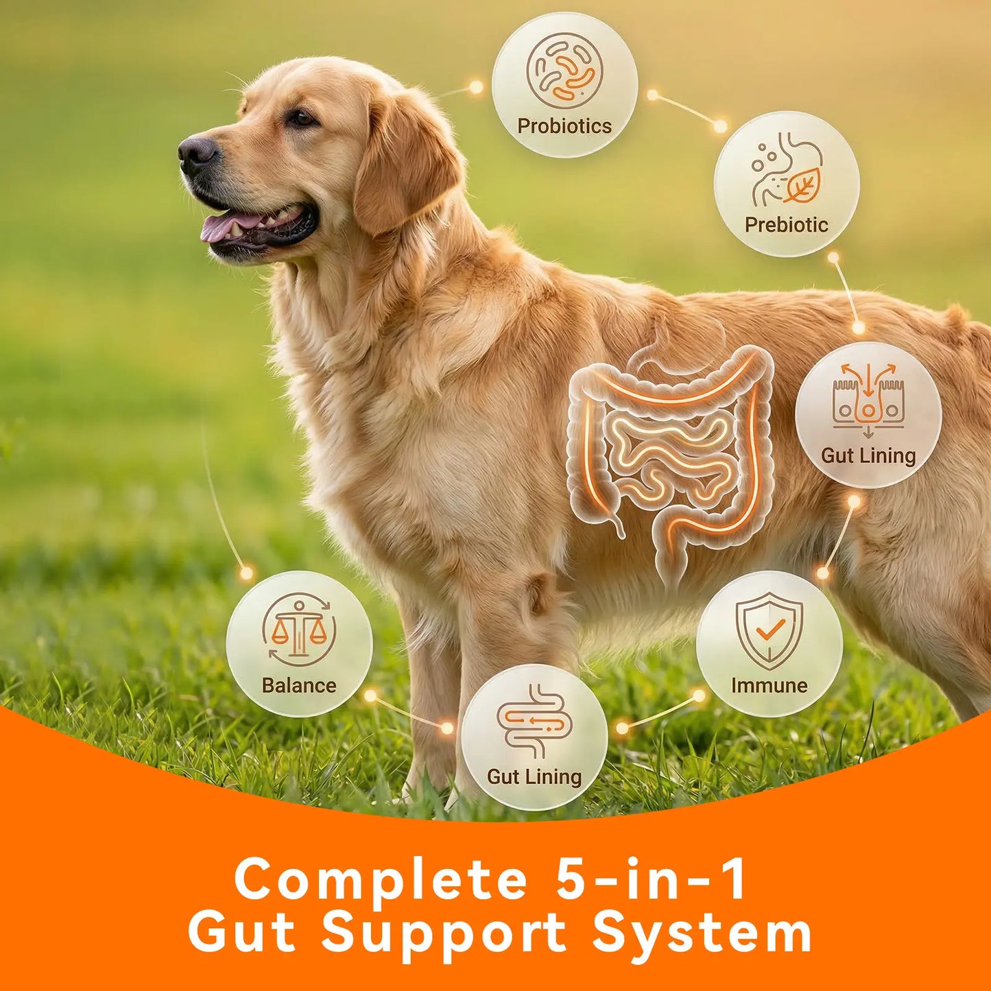Puainta Probiotics for Dogs and Cats: 8 Billion CFU Digestive and Immune Support - Multi-Strain Spore-Forming Formula with Prebiotics for Gut Health, Sensitive Stomachs, and Skin Wellness