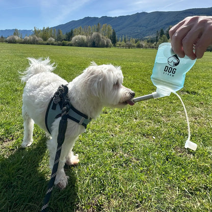 Portable Dog Water Pouch with Stainless Steel Sipper – Lightweight Lick-To-Sip Design for Walks, Hikes, and Travel – Ideal Hydration Solution for Active Dogs.