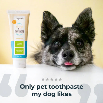 Premium Pet Dental Care Toothpaste - Effective Plaque Removal and Teeth Cleaning Solution