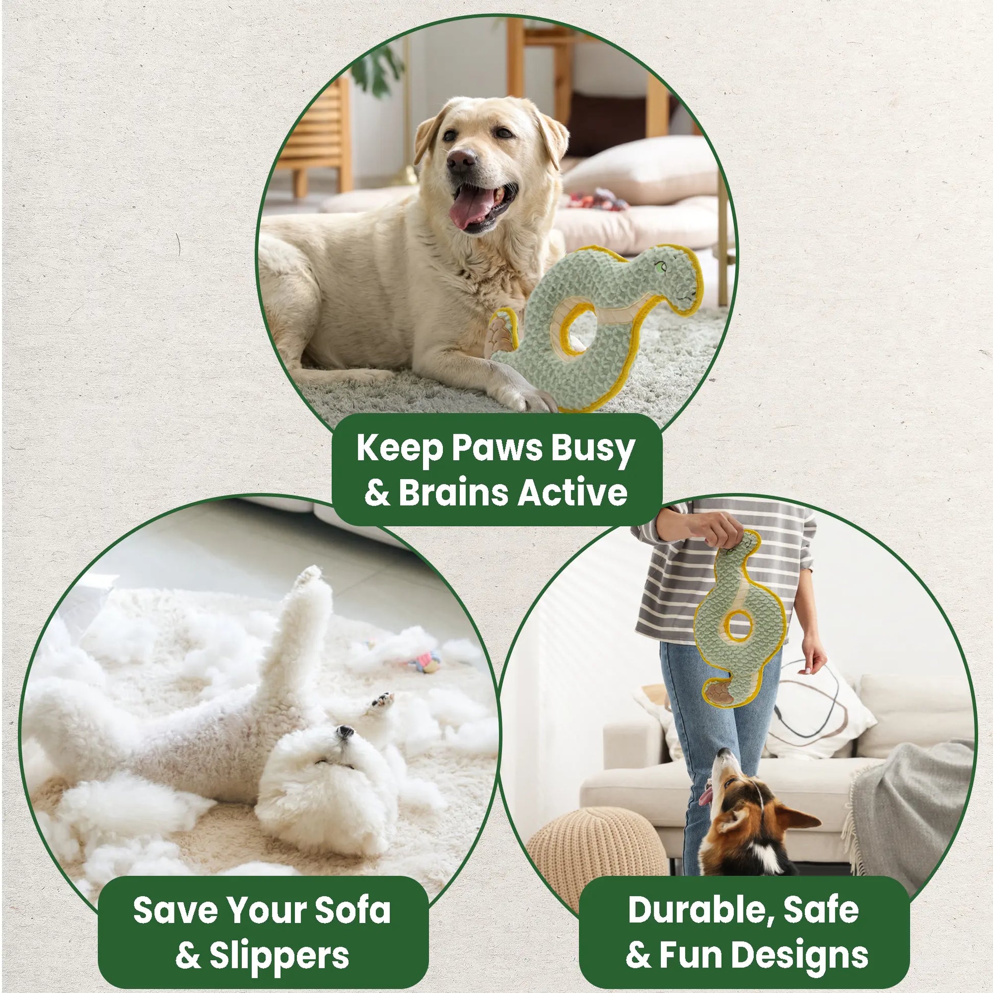Durabite Coil Snake Squeaky Dog Toy - Reinforced Chew Toy Ideal for Tug of War and Designed for Aggressive Chewers
