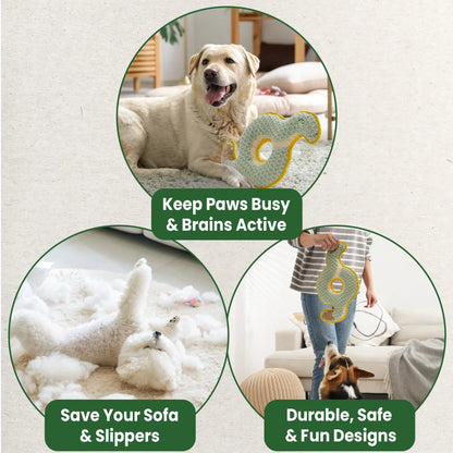 Durabite Coil Snake Squeaky Dog Toy - Reinforced Chew Toy Ideal for Tug of War and Designed for Aggressive Chewers