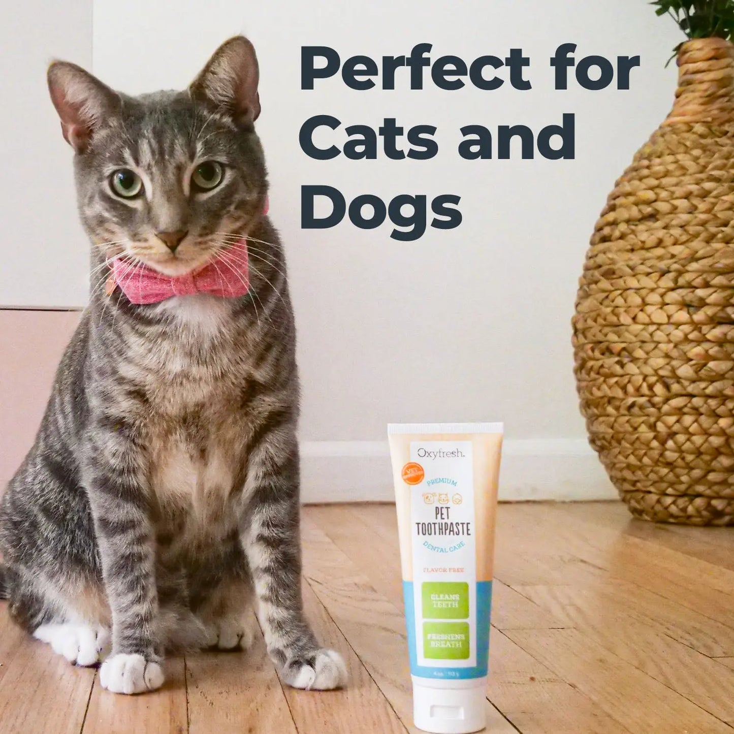 Premium Pet Dental Care Toothpaste - Effective Plaque Removal and Teeth Cleaning Solution