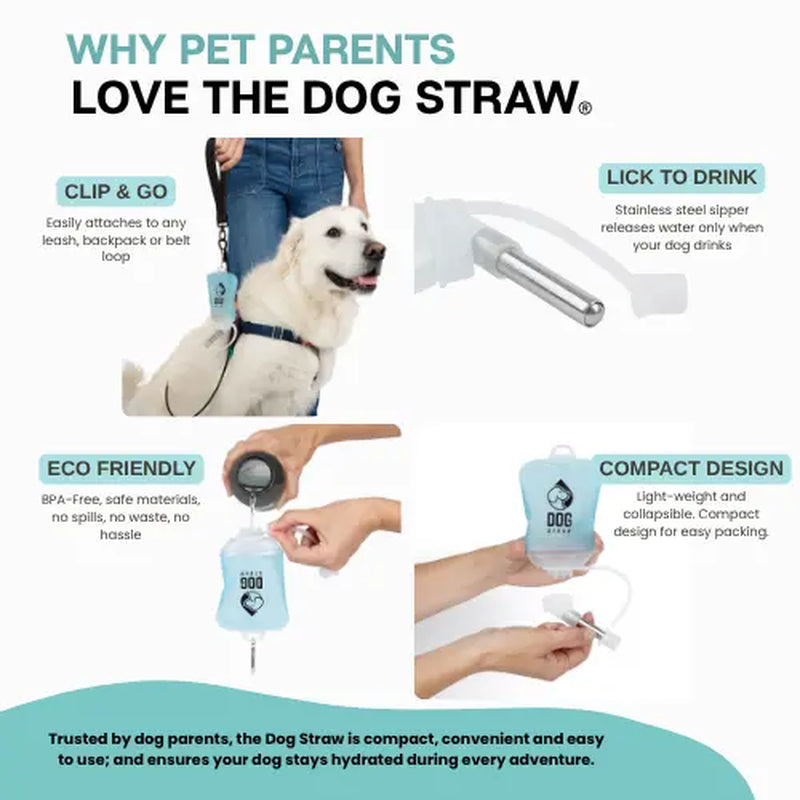 Portable Dog Water Pouch with Stainless Steel Sipper – Lightweight Lick-To-Sip Design for Walks, Hikes, and Travel – Ideal Hydration Solution for Active Dogs.