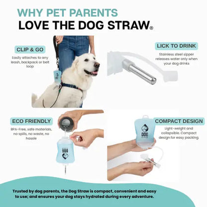 Portable Dog Water Pouch with Stainless Steel Sipper – Lightweight Lick-To-Sip Design for Walks, Hikes, and Travel – Ideal Hydration Solution for Active Dogs.