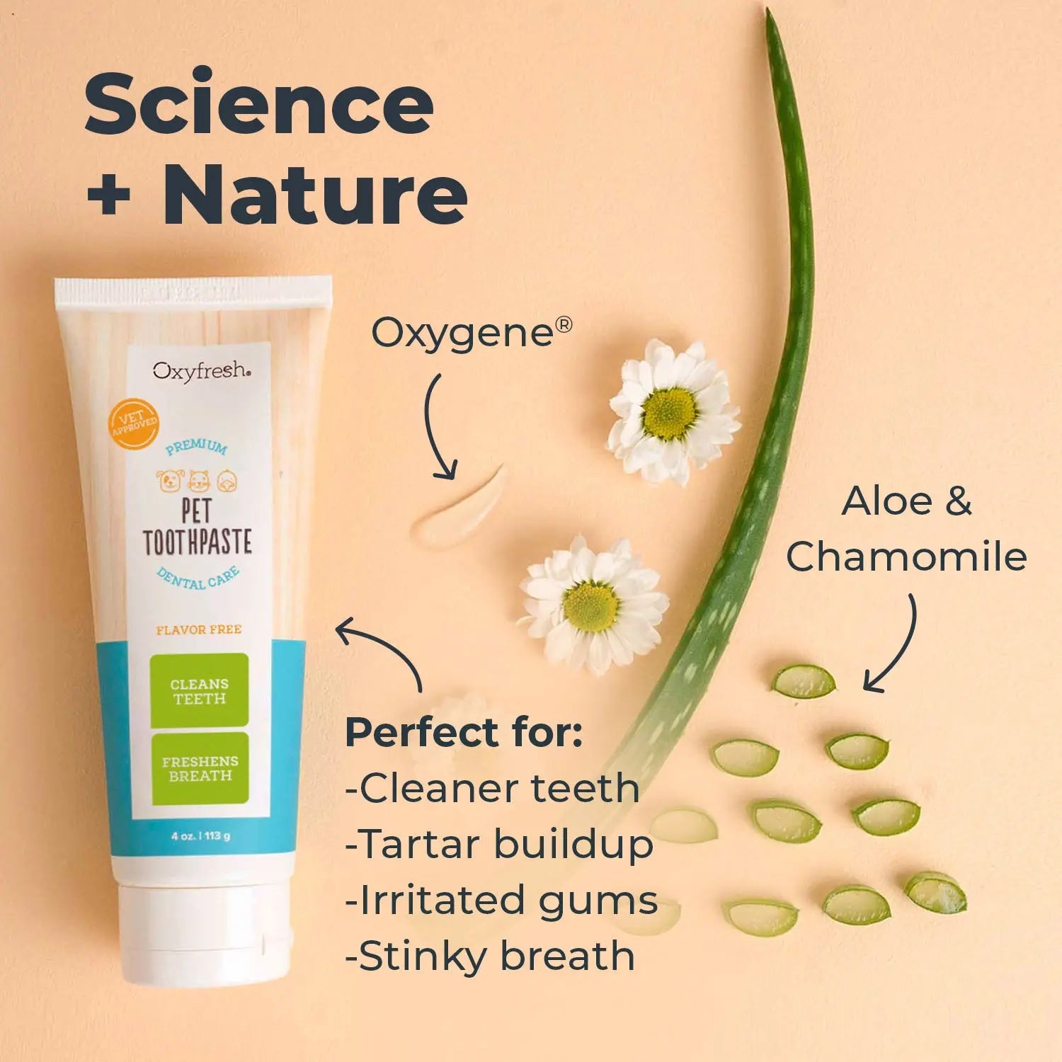 Premium Pet Dental Care Toothpaste - Effective Plaque Removal and Teeth Cleaning Solution