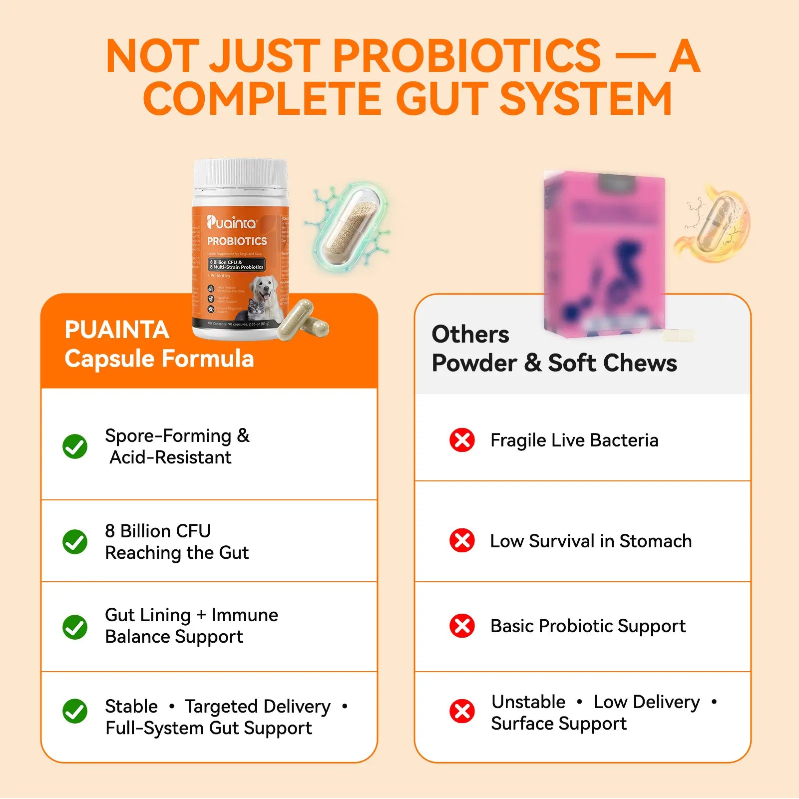 Puainta Probiotics for Dogs and Cats: 8 Billion CFU Digestive and Immune Support - Multi-Strain Spore-Forming Formula with Prebiotics for Gut Health, Sensitive Stomachs, and Skin Wellness
